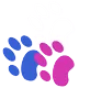 bruceanimalhospital